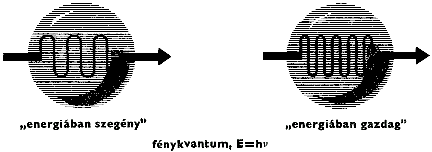 light1.gif