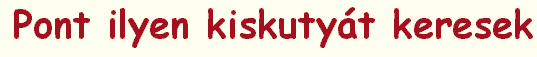 Pont ilyen kiskuty�t keresek