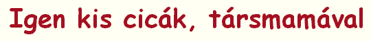 Igen kis cic�k, t�rsmam�val