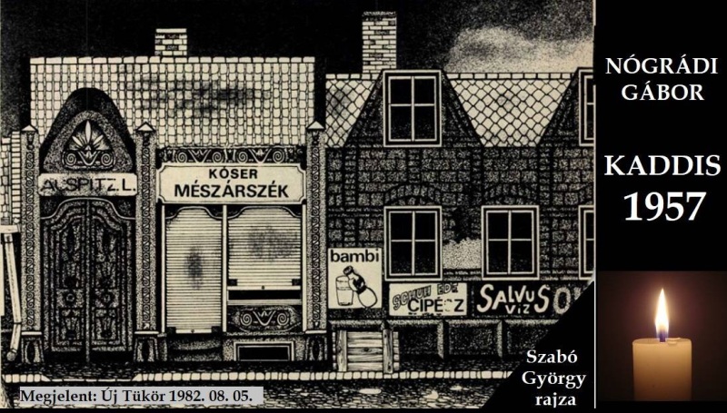 Kép 8